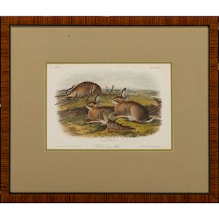 Audubon Hare Hand-Colored Engravings, Black-Tailed Hare and Worm-Wood Hare, Octavo Bowen Edition