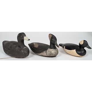 Painted Duck Decoys