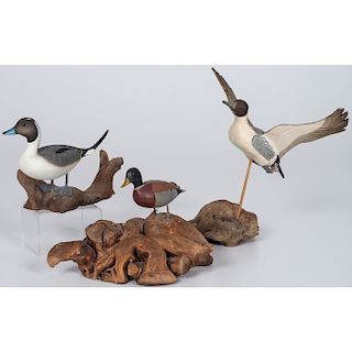Miniature Waterfowl Carvings, Including One by Waterfield