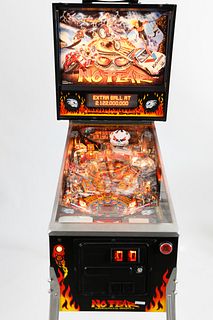"No Fear" Pinball Machine by The Williams Electronic Games, Inc.