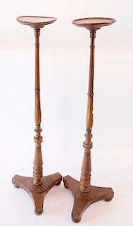 Pair of 19th Century English Mahogany Pedestal Plant Stands