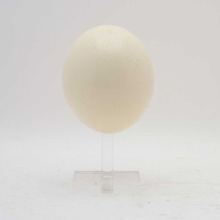 Alfonso Mena Pacheco. Huevo. Elaborado en cerámica con base de acrílico transparente. Firmado y fechado.