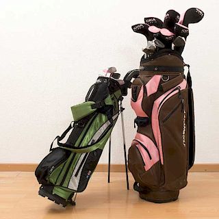 Lote de accesorios para golf. Consta de: 2 bolsas transportadoras y 17 palos de diferentes medidas.