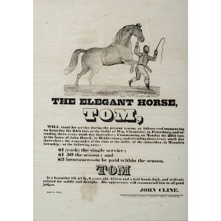 Illustrated 1847 Gettysburg Broadside for the Elegant Horse, Tom