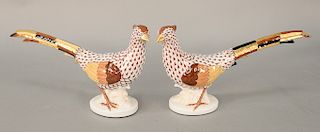 Pair of large Herend porcelain pheasant in brown fishnet and gold gilt decoration marked Herend Hungary Handpainted 5179. ht. 6 1/2 ...