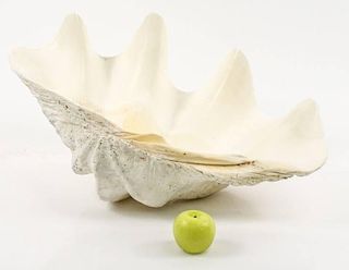 Large White Clam Shell Centerpiece