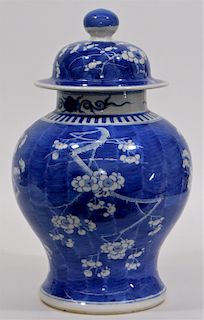 Chinese Blue & White Prunis Decorated Storage Jar