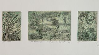 Letterio Calapai etching