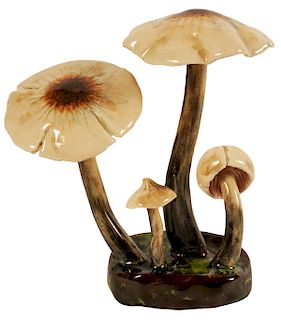 Lorenzen 'Psilocybe Nigripes' Mushroom 5.5" H