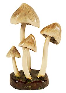 Lorenzen 'Coprinus Insignis' Mushroom 5" High