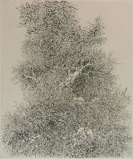 Gabor Peterdi etching