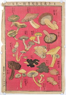"Chart of Edible Japanese Mushroom Types."