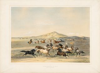 After George Catlin, Wild Horses, at Play, 1844.