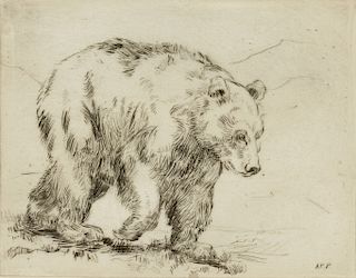 Alexander Phimister Proctor, Untitled (Bear).