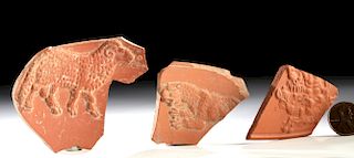 Lot of 3 Roman Terracotta Fragments - Animal Reliefs