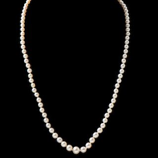 Graduated Pearl Necklace with Edwardian Clasp