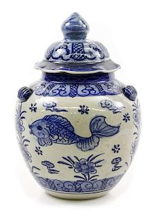 Unusual Chinese Blue & White Porcelain Ginger Jar