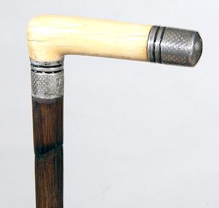 Walrus  Ivory Cane