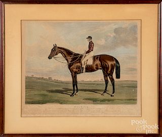 Six horse lithographs