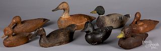 Collection of eight carved and painted duck decoys
