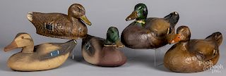 Five painted papier-mâché duck decoys