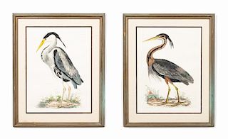 After PJ Selby, Two Heron Engravings