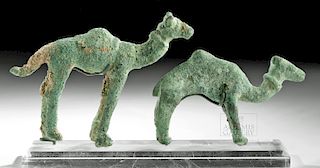 Pair South Arabian Bronze Camels