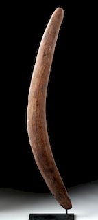 Early 20th C. Australian Aboriginal Wooden Boomerang