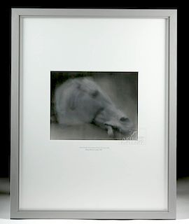 Framed Peter Brandes "Horse of Selene" Photograph