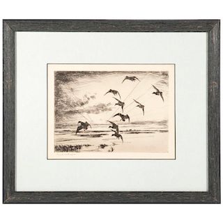 Lithograph of a flock of ducks