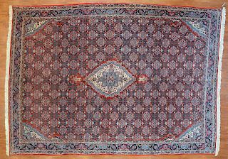 Bijar Carpet, Persia, 9 x 12.5