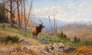 John Fery (1859–1934): Herd Bull