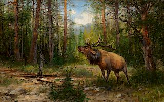 John Fery (1859–1934): Bugling Elk