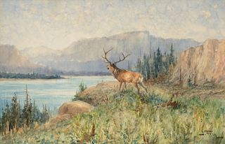 John Fery (1859–1934): Glacier Park