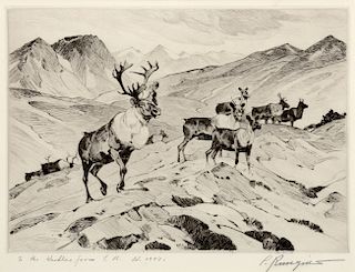 Carl Rungius (1869–1959): Above Timberline; Above Timberline [drawing]