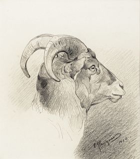 Carl Rungius (1869–1959): Ram (1910)