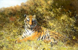 David Shepherd (1931–2017): Tiger in the Bushes (2011)