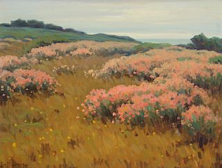 John Marshall Gamble (1863–1957): Wild Buckwheat near Monterey