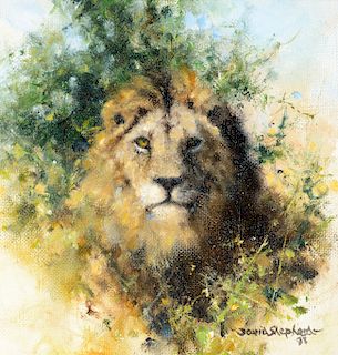 David Shepherd (1931–2017): Lion (1993)