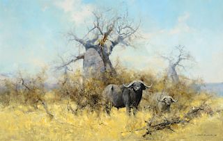 David Shepherd (1931–2017): Cape Buffalo