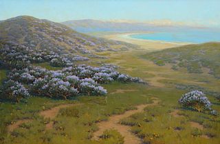 John Marshall Gamble (1863–1957): Monterey Dunes, Bush Lupine (1911)