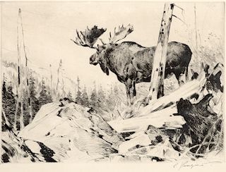 Carl Rungius (1869–1959): Alaskan Wilderness; Dall Sheep; The Challenge