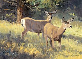 Ken Carlson (b. 1937): Mountain Meadow – Mule Deer