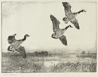 Frank W. Benson (1862-1951) Three Geese