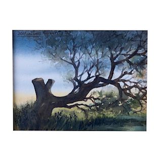 Joaquín Martínez Navarrete. Paisaje de vista con árbol. Acuarela sobre papel. Firmada y fechada 72. 17 x 23 cm