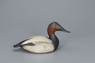 Classic 1936 Canvasback Drake Decoy, The Ward Brothers