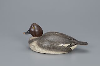 Paddle-Tail Goldeneye Hen Decoy, The Ward Brothers