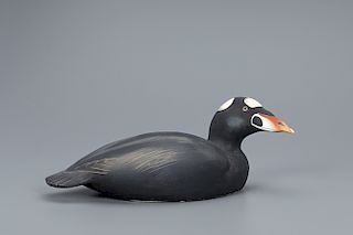 Rare Hollow Surf Scoter Decoy, The Ward Brothers