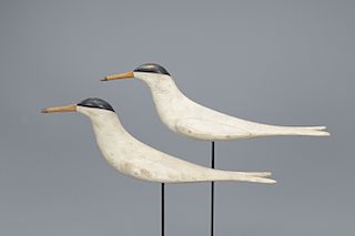 Pair of Tern Decoys, Mark S. McNair (b. 1950)