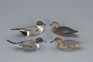 Two Miniature Pintail Pairs 